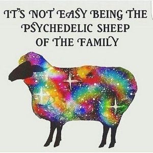 Meet your Posher, Raining